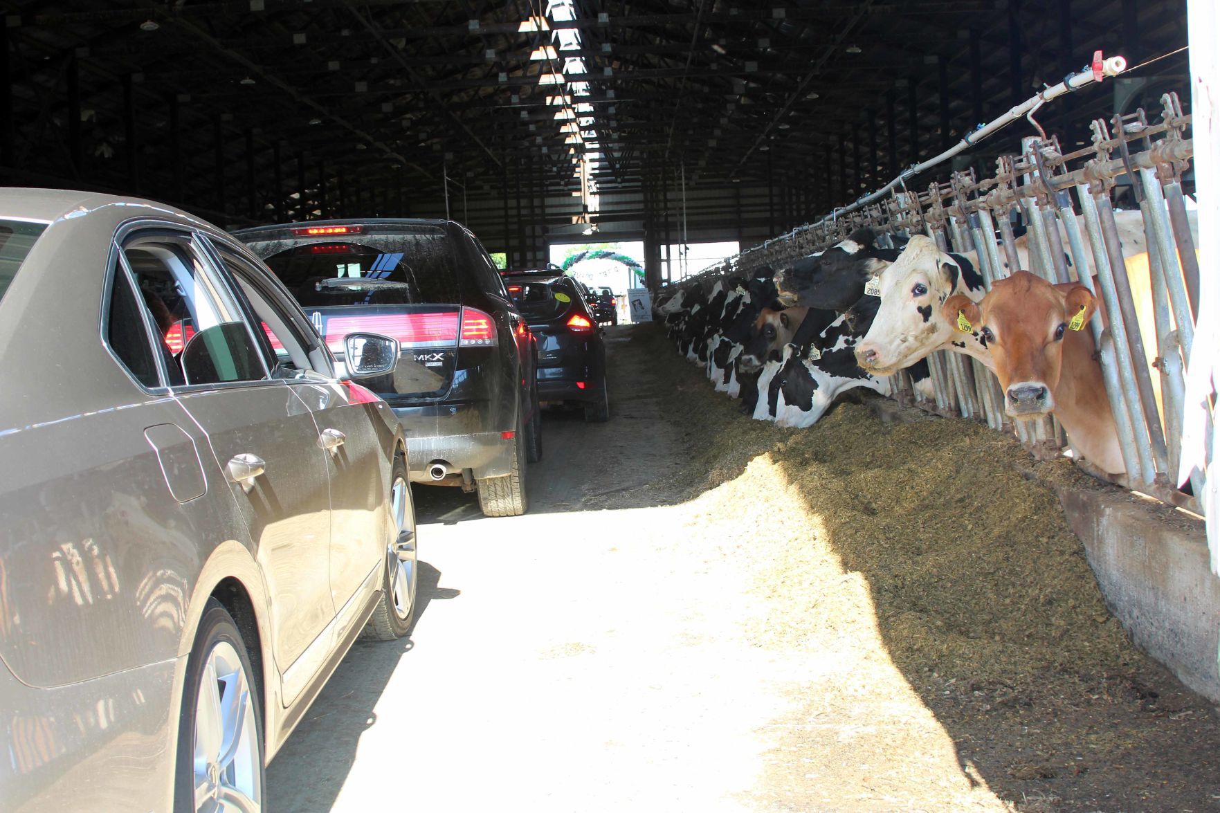 Drive thru dairy breakfast Cattail Dairy Wonewoc